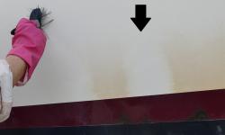 Acid wash removing tannin stains